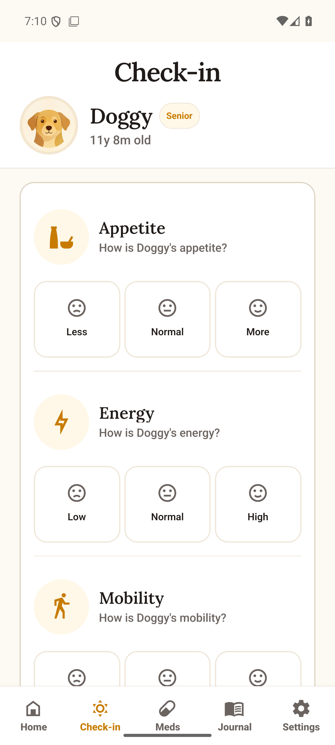 Daily check-in screen